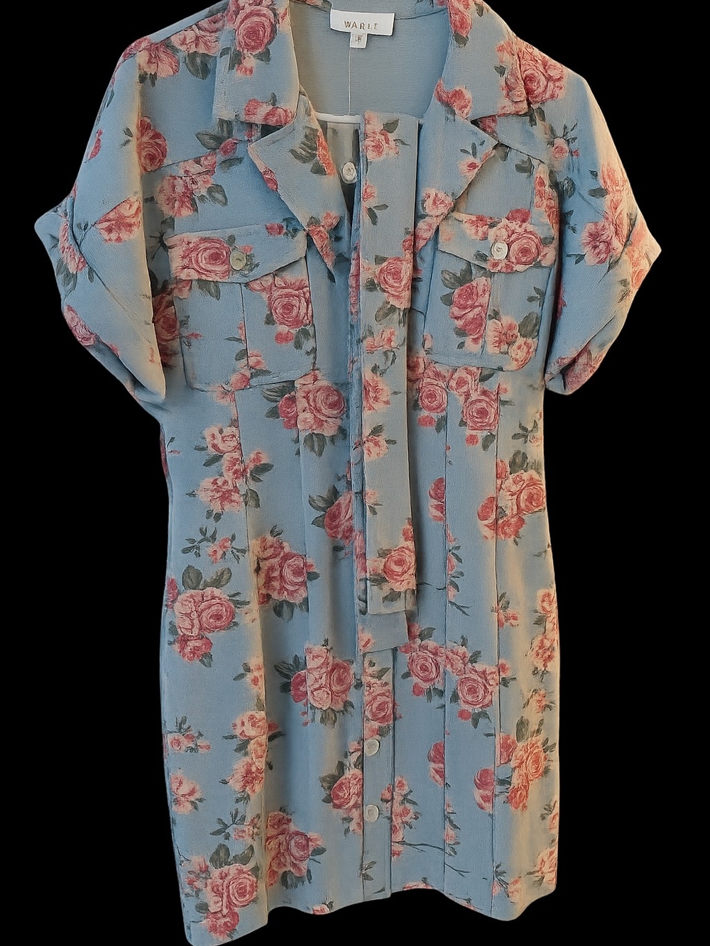 Mable Floral Button-Front Denim Dress